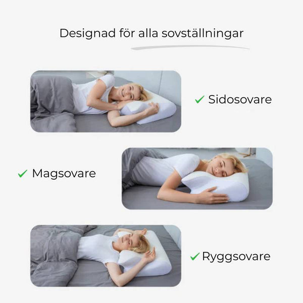 ErgoMemory sovepute