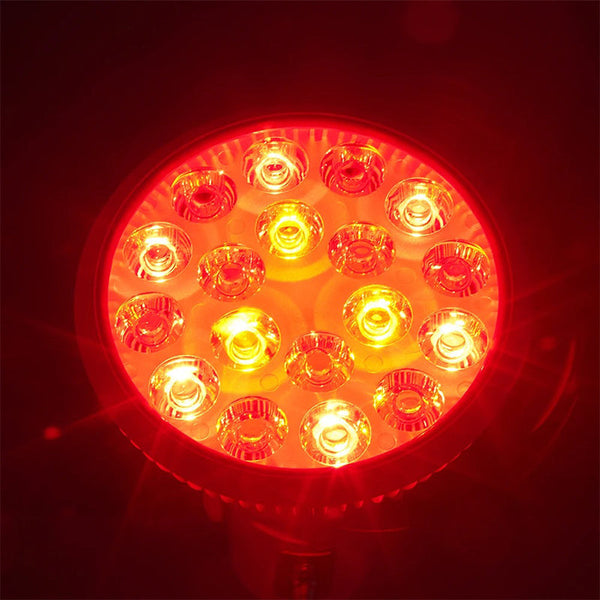 Rødlysterapi - lampa med klämfäste
